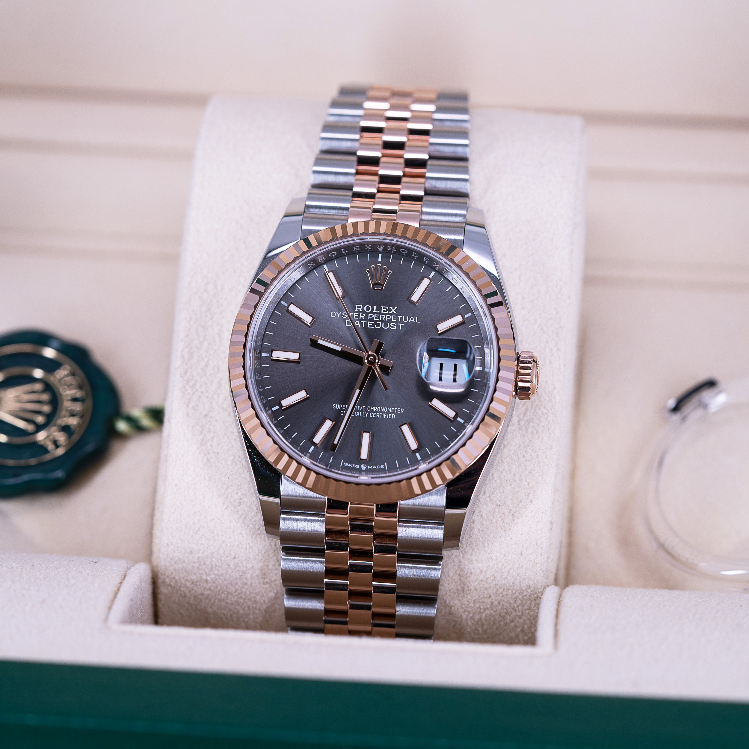 Rolex Datejust 36 teräs-ruusukulta 126231 vuodelta 2022 - Image 2