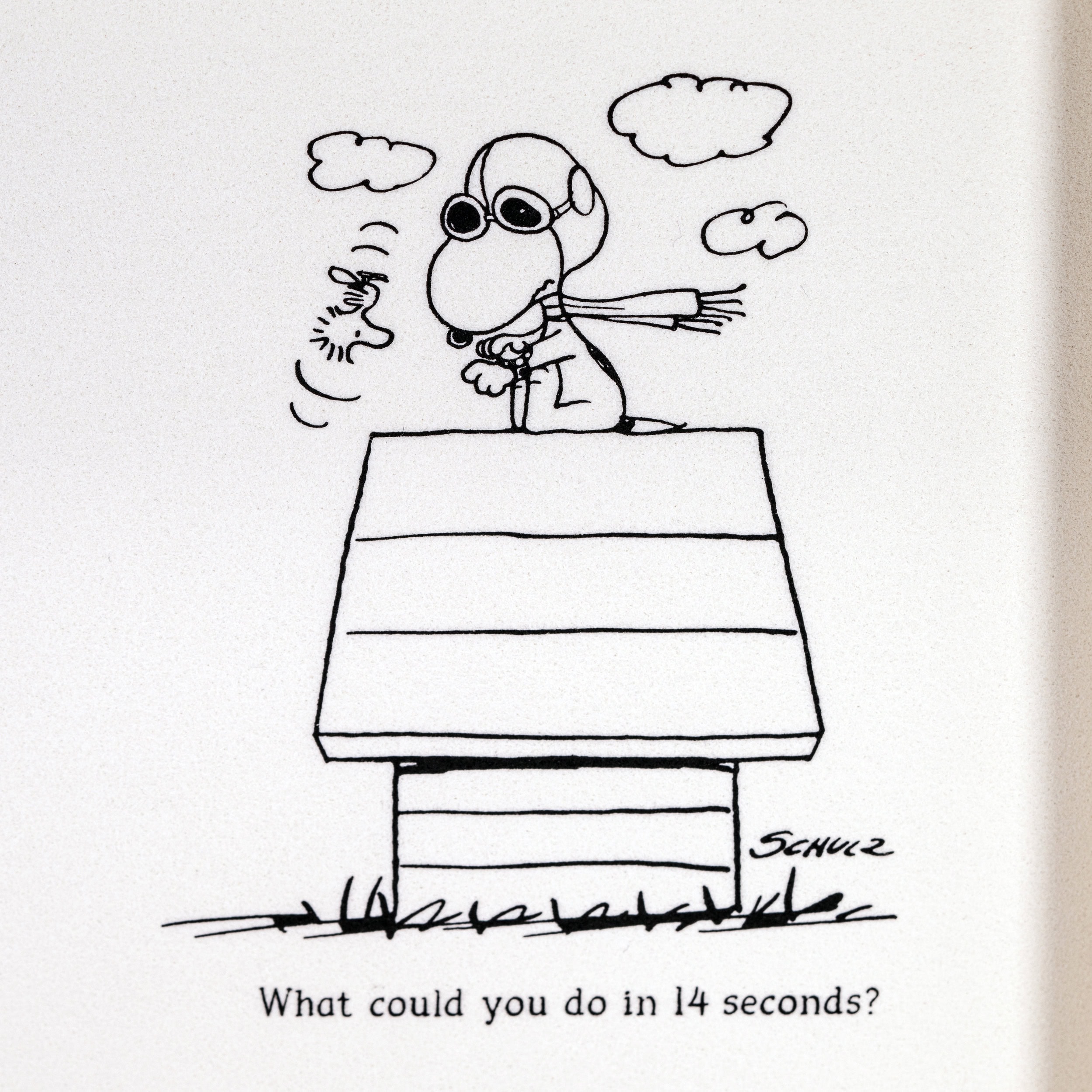 Omega Speedmaster Silver Snoopy 2023 FULL-SET - Image 15